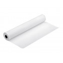 Epson - Lesklý - Role (91,4 cm x 30,5 m) - 250 g m2 - 1 role fotografický papír - pro Stylus Pro 4000, Pro 7600, Pro 9600, Pro 9700, Pro 98XX; SureColor SC-T5000, T5200, T7200