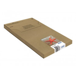 Epson 603XL Multipack Easy Mail Packaging - 4-balení - XL - černá, žlutá, azurová, purpurová - originální - blistr - inkoustová cartridge - pro Expression Home XP-2150, 2155, 3150, 3155, 4150, 4155; WorkForce WF-2820, 2840, 2845, 2870