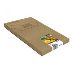 Epson 604XL Multipack Easy Mail Packaging - 4-balení - XL - černá, žlutá, azurová, purpurová - originální - blistr - inkoustová cartridge