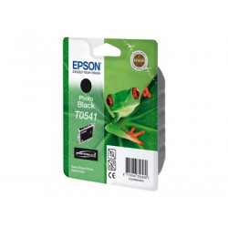 Epson T0541 - 13 ml - foto černá - originální - blistr - inkoustová cartridge - pro Stylus Photo R1800, R800