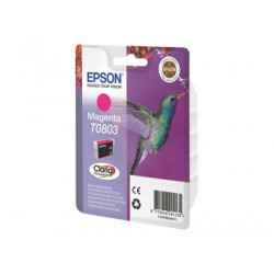 Epson T0803 - 7.4 ml - purpurová - originální - blistr - inkoustová cartridge - pro Stylus Photo P50, PX650, PX660, PX700, PX710, PX720, PX730, PX800, PX810, PX820, PX830