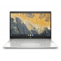 HP Pro HP Pro c640 ChromeBook - 15,6" IPS 1920x1080, Intel Core i5-10310U, 8 GB, 64 GB eMMC, Chrome OS, Stříbrná/ šedá ( 10X40EA#BCM )