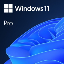 OEM GGK Win 11 Pro 64Bit Eng (legalizace) DVD