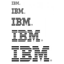 IBM 6173 LTO 6 Ultrium Half High SAS Drive Sled (TS4300)