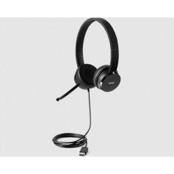 Lenovo 100 Stereo USB Headset