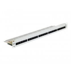 Delock - Propojovací panel - RJ-45 X 25 - světle šedá, RAL 7035 - 1U - 19"