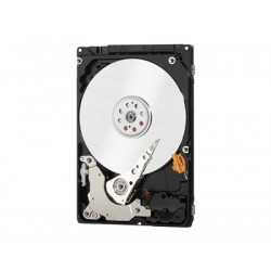 WD Laptop Mainstream WDBMYH0010BNC - Pevný disk - 1 TB - interní - 2.5" - SATA 3Gb s - 5400 ot min. - vyrovnávací paměť: 8 MB