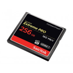 SanDisk Extreme Pro - Paměťová karta flash - 256 GB - 933x 1067x - CompactFlash