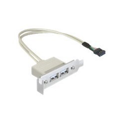 Delock Slot bracket - Kabel USB - USB (F) do hlavička USB 9 pinů (F) - USB 2.0 - 50 cm