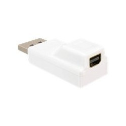 Delock - Adaptér DisplayPort - DisplayPort (M) do Mini DisplayPort (F) - bílá