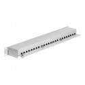 Delock - Propojovací panel - RJ-45 X 24 - světle šedá - 1U - 19"