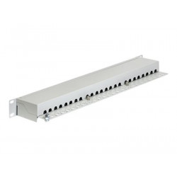 Delock - Propojovací panel - RJ-45 X 24 - světle šedá - 1U - 19"