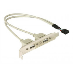 Delock - Panel USB - USB záhlaví 10 pinů (M) do USB (F) - 30 cm