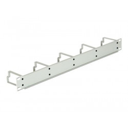 Delock - Panel pro uspořádání kabelů - světle šedá, RAL 7035 - 1U - 19"