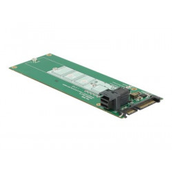 Delock Converter SATA 22 pin SFF-8643 NVMe 1 x M.2 NGFF Key M - Adaptér rozhraní - M.2 - M.2 Card - SAS 6Gb s, SATA 6Gb s
