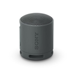 Sony SRS-XB100 Mono Černá