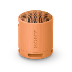 Sony SRS-XB100 Mono Oranžová