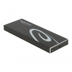 Delock - Kryt úložiště - M.2 - M.2 Card SATA 6Gb s - USB 3.2 (Gen 2) - černá
