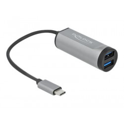 Delock 2 Port USB 3.2 Gen 1 Hub with USB Type-C Connection and SD + Micro SD Slot - Rozbočovač - 2 x USB 3.2 Gen 1 - desktop