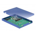 Delock - Kryt úložiště - M.2 Card mSATA - USB 3.1 (Gen 2)