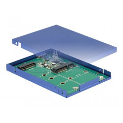 Delock - Kryt úložiště - M.2 Card mSATA - USB 3.1 (Gen 2)