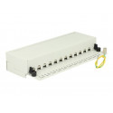 Delock - Propojovací panel - RJ-45 X 12 - světle šedá, RAL 7035