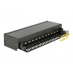 Delock - Propojovací panel - RJ-45 X 12 - hluboce černá, RAL 9005
