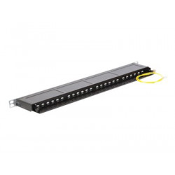 Delock - Propojovací panel - RJ-45 X 24 - hluboce černá, RAL 9005 - 0.5U - 19"