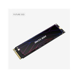 HIKSEMI SSD FUTURE 1024GB, M.2 2280, PCIe Gen4x4, R7450 W6600