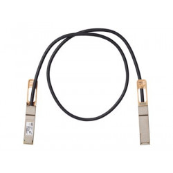Cisco 100GBASE-CR4 Passive Copper Cable - Kabel pro přímé připojení - QSFP do QSFP - 1 m - diaxiální - pasivní - pro P N: N9K-C93180YC-EX-24, N9K-C9336C-FX2-OR, NCS-55A1-24H-TRK, NCS-55A1-36H-SE-B