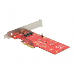 Delock PCI Express x4 Card  1 x internal NVMe M.2 Key M 110 mm with heat sink - Řadič úložiště - 1 Kanál - M.2 Card - PCIe 3.0 x4