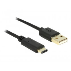Delock - USB kabel - USB-C (M) do USB (M) - USB 2.0 - 3 A - 2 m - černá