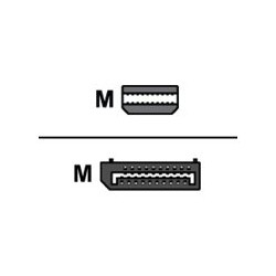 AMD - Adaptér DisplayPort - Mini DisplayPort (M) do DisplayPort (M)