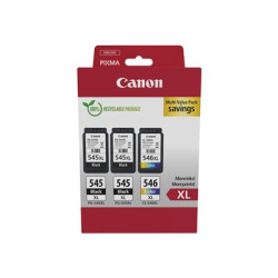 Ink PG-545XLx2 CL-546XL MULTI