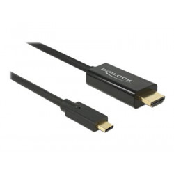 Delock - Externí video adaptér - USB-C - DisplayPort - černá - maloobchod