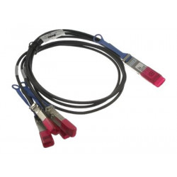 Dell 100GbE Passive Direct Attach Breakout Cable - Kabel pro přímé připojení - QSFP28 do SFP28 - 2 m - pro Networking S6100-ON; Networking Z9100-ON; PowerEdge C6420, R640, R740, R740xd, R940
