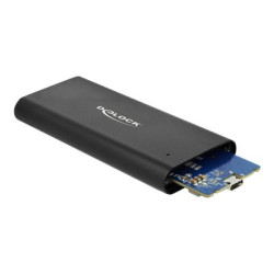 Delock - Kryt úložiště - M.2 - M.2 NVMe Card - USB 3.1 (Gen 2) - černá