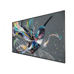 Philips LCD 65BDL3511Q - 65" Q-Line; 18 7, 4K UHD, basic failover, USB auto play, CMND &Control, Smart Player, LAN