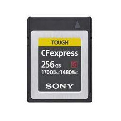 Sony CEBG256 - Paměťová karta řady CEB-G 256GB