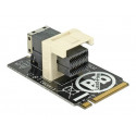 Delock Adapter M.2 Key M  SFF-8643 NVMe horizontal 2242 - Adaptér rozhraní - 2.5" - U.2 NVMe - M.2 Card