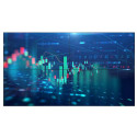 Philips LCD 65BDL6005X 65" - X-Line, 24 7, UHD, LED, 500cd m2, 500 000:1, 8ms, LAN
