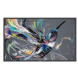 Philips 98BDL3650Q LCD IPS 98" 3840 x 2160 8ms 400 nitů 1200:1 60Hz 18/7
