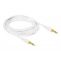 Delock - Audio kabel - stereo mini jack s piny (male) do stereo mini jack s piny (male) - 3 m - bílá
