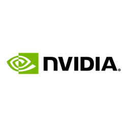 NVIDIA Customized Training - přednášky - 1 výkaz práce