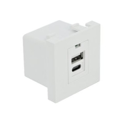 Delock - Easy 45 - USB zásuvka - USB, USB typu C - 1 souprava - 2.1 A - bílá, RAL 9003