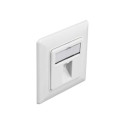 Delock - Zásuvka Keystone Socket - s popisovacím oknem - úhlový - 1 modul - čistě bílá, RAL 9010