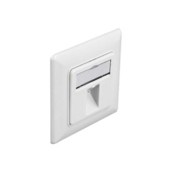 Delock - Zásuvka Keystone Socket - s popisovacím oknem - úhlový - 1 modul - čistě bílá, RAL 9010