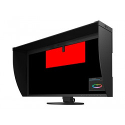 EIZO CG319X LCD IPS 31", 4096 x 2160, 9 ms, 350 cd, 1 500:1, 60 Hz  (CG319X)