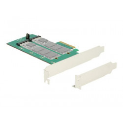 Delock PCI Express Card  2 x internal M.2 Key B with RAID - Řadič úložiště - M.2 Card nízký profil - 6 GBps - RAID 0, 1 - PCIe 2.0 x4
