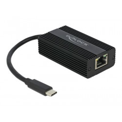Delock Adapter USB Type-C male to 2.5 Gigabit LAN - Síťový adaptér - USB-C 3.1 Gen 1 - 2.5GBase-T - černá